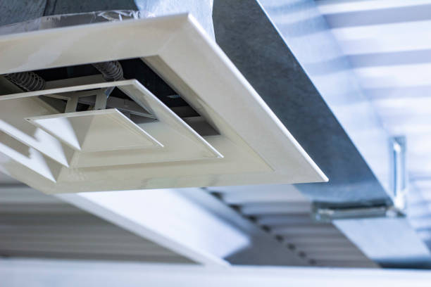 Best Professional Duct Cleaning Services  in South Miami Heights, FL